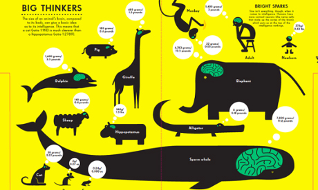 infografia1